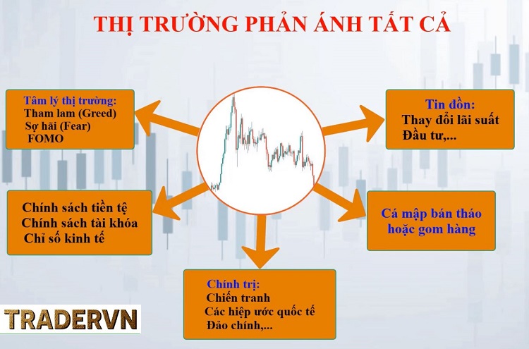 nguyen ly 1 cua ly thuyet dow