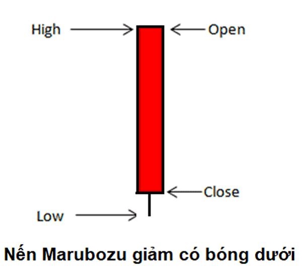 nen Marubozu giam co bong duoi